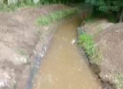 Normalisasi Sungai di Pekon Kedamaian, Proyek Tanpa Papan Informasi : Menodai Hak Publik tentang Informasi