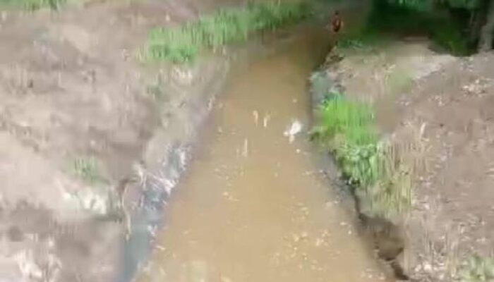 Normalisasi Sungai di Pekon Kedamaian, Proyek Tanpa Papan Informasi : Menodai Hak Publik tentang Informasi