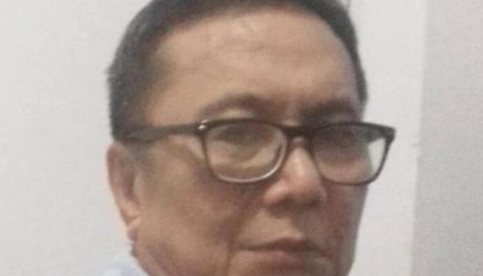 Ricky Tambunan :  Hasto Sekjen PDIP Jangan Buat  Pernyataan yang Memblunder