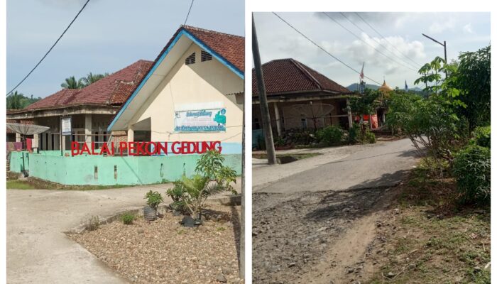 Jalan Desa Gedung Hampir Ambles,Perhatian Pemerintah kabupaten Tanggamus, Dipertanyaankan??