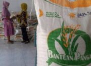 Kemana Dana OP Penyaluran Bantuan Pangan CBP Selama Ini, Yuuk Cari Tau,!!