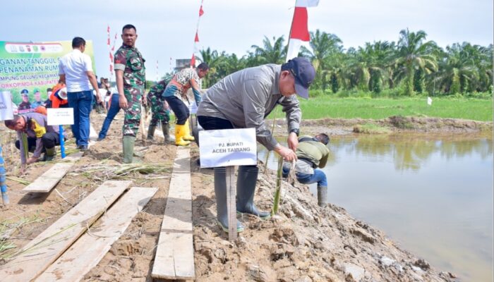 Cegah Erosi, Pj Bupati Asra Tanam Vetiver di Tanggul Sementara