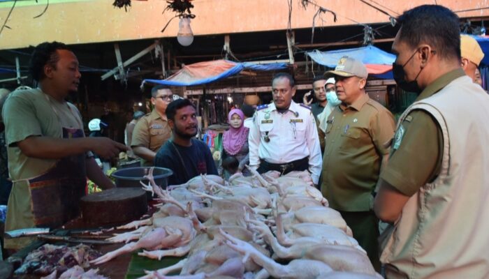 Pj Bupati Asra Minta Pemerintah Aceh Bangun Pabrik Pakan Ayam Mini di Aceh Tamiang