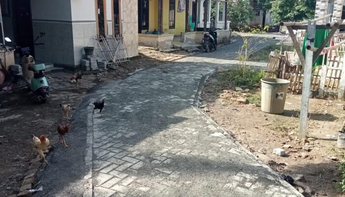 Proyek Pemasangan Paving blok Di Duga Asal Terlihat  Amburadul 