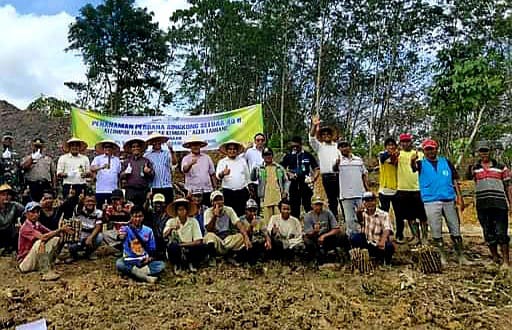 Launching penanaman program Ubi Kayu. Dok : mediaaceh.co.id/Ketua PWI Aceh Tamiang.