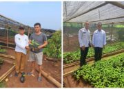 Desa Pajagan Kecamatan Sajira Tekan Angka Kemiskinan Ekstrem Dan Stunting Melalui Program Ketahanan Pangan