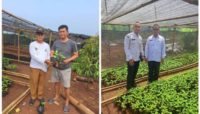 Desa Pajagan Kecamatan Sajira Tekan Angka Kemiskinan Ekstrem Dan Stunting Melalui Program Ketahanan Pangan