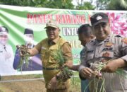 Pj Bupati Aceh Tamiang Panen Perdana Bawang Merah, Ini Kata Nya