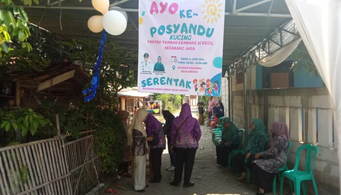 Cegah Stunting, Desa Sodong Siagakan 11 stand Posyandu