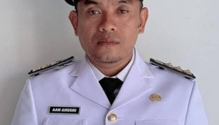 Jalan syekh Nawawi Menyempit kerena Pohon Dan Rumput, Camat Mekar Baru Himbau Desa Untuk Bergotong Royong