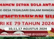 Gelar Turnamen Sepak Bola Antar RT, Kades Tegalsari Hj. Titin Suhartini: Ajang  Silaturahmi Dan Memeriahkan HUT RI Ke 79
