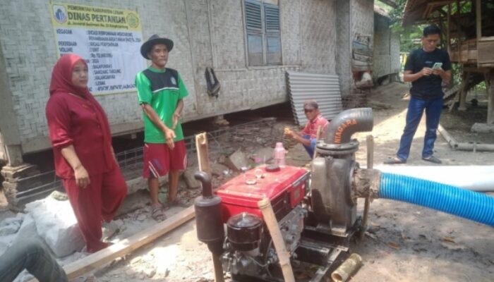 Inovasi Irigasi Rumah Pompa: Solusi Modern untuk Kemakmuran Petani