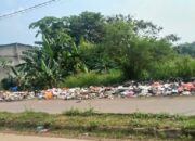 TaK kunjung Teratasi  komitmen UPT 2 DLHK Kabupaten Tangerang Dan Pejabat Desa Tobat Soal Sampah, Di Pertanyakan?