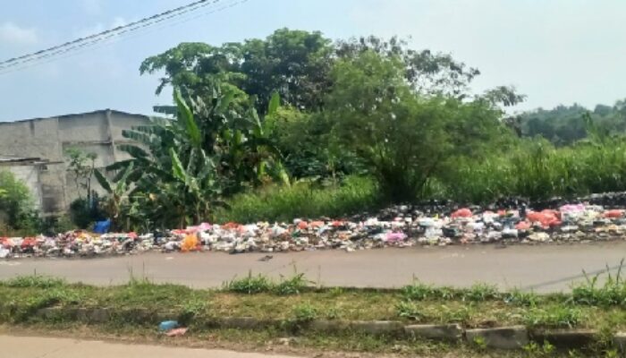 TaK kunjung Teratasi  komitmen UPT 2 DLHK Kabupaten Tangerang Dan Pejabat Desa Tobat Soal Sampah, Di Pertanyakan?