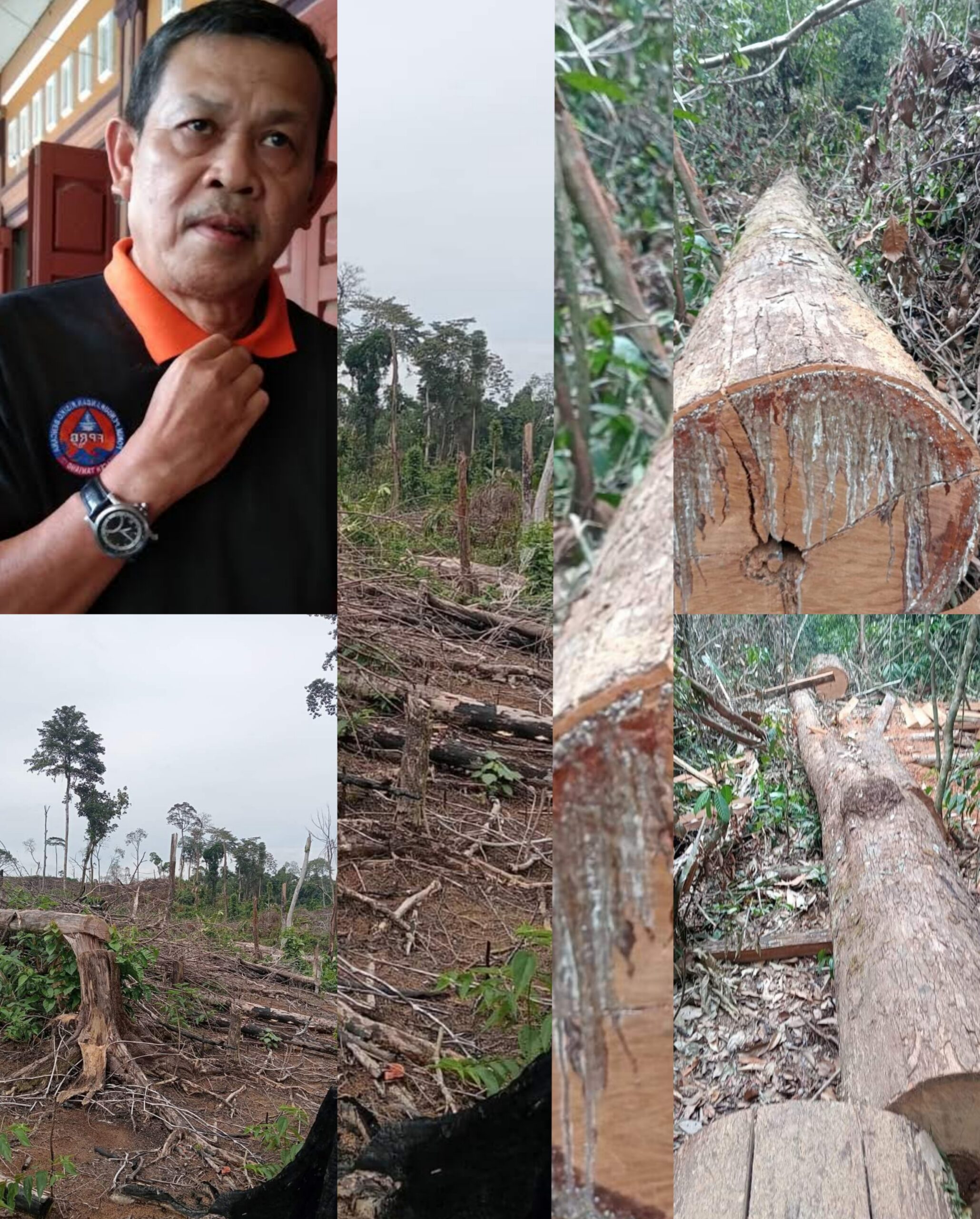 Sayed Zainal M, SH. Direktur Eksekutif LembAHtari. Bersama kerusakan lahan dan penjarahan balakkan liar di TNGL Sikundur Tenggulun. (Foto/Dok : mediaaceh.co.id/Syawaluddin)