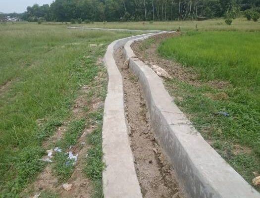 Program P3TGAl Desa Jalupang Girang Kecamatan Banjarsari di duga Abaikan Juknis