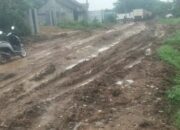 Kerusakan Parah Jalan Desa di Kampung Papanggo: Masyarakat Minta Pemerintah Turun Tangan