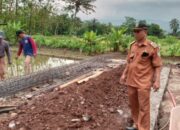 Realisasi Dana Insentif Desa Awiluar