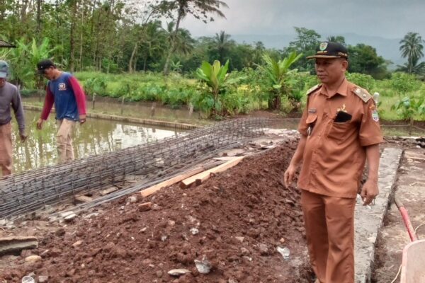 Realisasi Dana Insentif Desa Awiluar