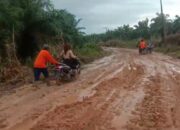 Warga Minta Pemkab Aceh Tamiang Perbaiki Jalan Kampung Baru Kuala Pusung Kapal Seruway yang Rusak Parah