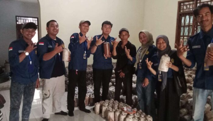 KKN Mahasiswa Universitas Muhammadiyah Banten ke rumah produksi jamur tiram Di Kabupaten Tangerang