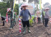 Untuk Perluas Areal Tanam Padi Diaceh Tamiang, Memanfaatkan Lahan Program PSR