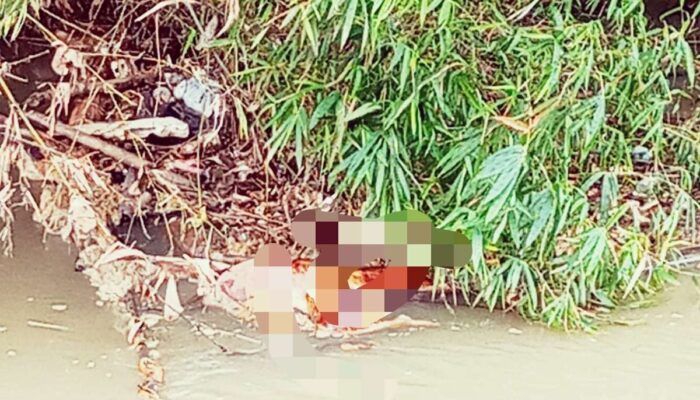 Mayat Lelaki Tampa Identitas Di Temukan Mengapung Di Kali Cidurian Kec Kresek