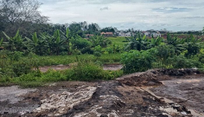 Diduga Ilegal, Usaha Pengolahan Sawit di Cisoka Cemari Lingkungan dan Diselidiki Aparat
