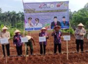 Pemkab Tangerang Kembangkan Budidaya Tanaman Herbal