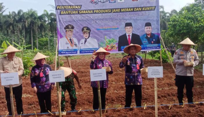Pemkab Tangerang Kembangkan Budidaya Tanaman Herbal