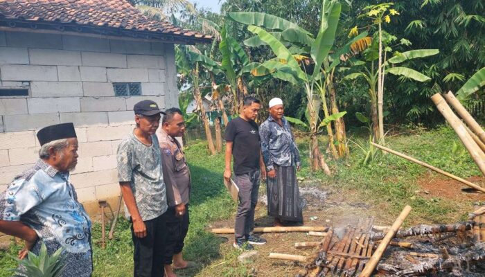 Delapan Ekor Kambing Dipotong di Dalam Kandang, Warga Jambe Geger Menjelang Idul Adha