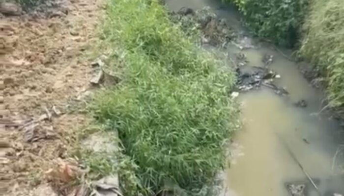 Setelah Disidak, Proyek Pengurugan Sumur Bandung Kembali Jalan