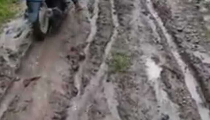 Jalan Rusak Dibiarkan Bertahun-tahun, Pemdes Carenang Dinilai Tak Peduli