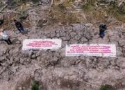 Tangkap Pelaku Pembabatan Hutan Lindung di Sekitar Alur Cina & Alur Durhaka Kuala Genting Aceh Tamiang