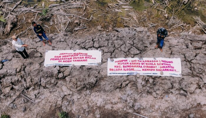 Tangkap Pelaku Pembabatan Hutan Lindung di Sekitar Alur Cina & Alur Durhaka Kuala Genting Aceh Tamiang