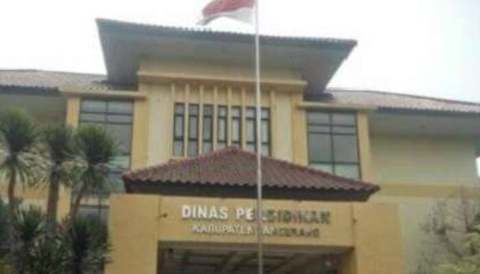 Dana Pendidikan Disorot BPK, Pembayaran Tunai Puluhan Juta Terjadi di Sekolah Dasar