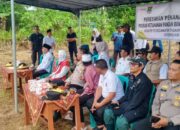 BUMDes Pete Maju Bersama Resmikan Penanaman Jagung Hibrida, Dorong Ketahanan Pangan dan Ekonomi Desa