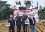Dinna Suzatmika Optimistis Jagung Hibrida Perkuat Ketahanan Pangan Desa Pete