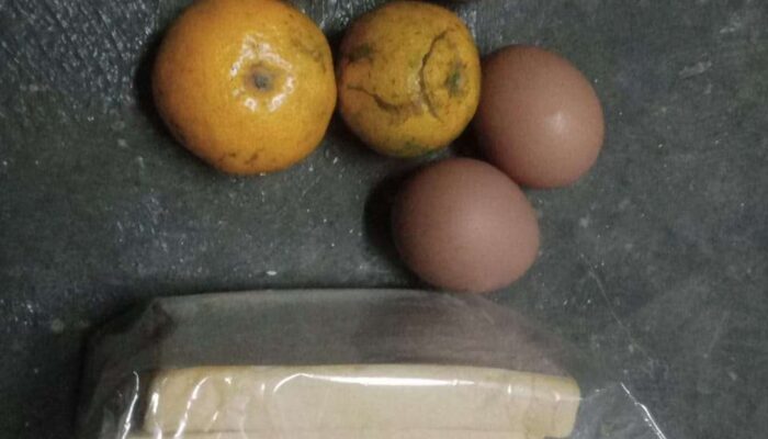 Menu Program MBG SMKN Rangkasbitung Dan Posyandu Desa Tambakbaya Cibadak, Di duga jadi  Ladang Korupsi