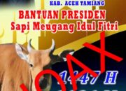 Warga Seruway Aceh Tamiang Sebut Kalau Sapi Bantuan Meugang Presiden Lepas Lebaran Dibagi, untuk Apalagi !!!