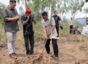 Panen Singkong Kualitas Super, Gubernur Banten Andra Soni Jamin Kepastian Pasar dan Infrastruktur Desa